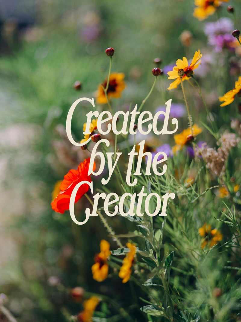Created by the Creator Midweight Tee - Black