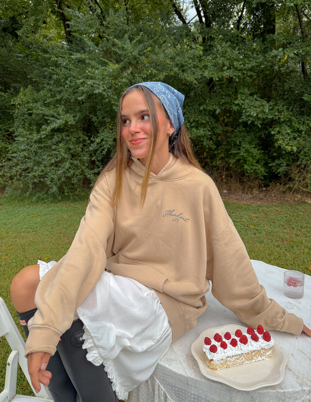 Abundant Life Unisex Hoodie Christian Sweatshirt