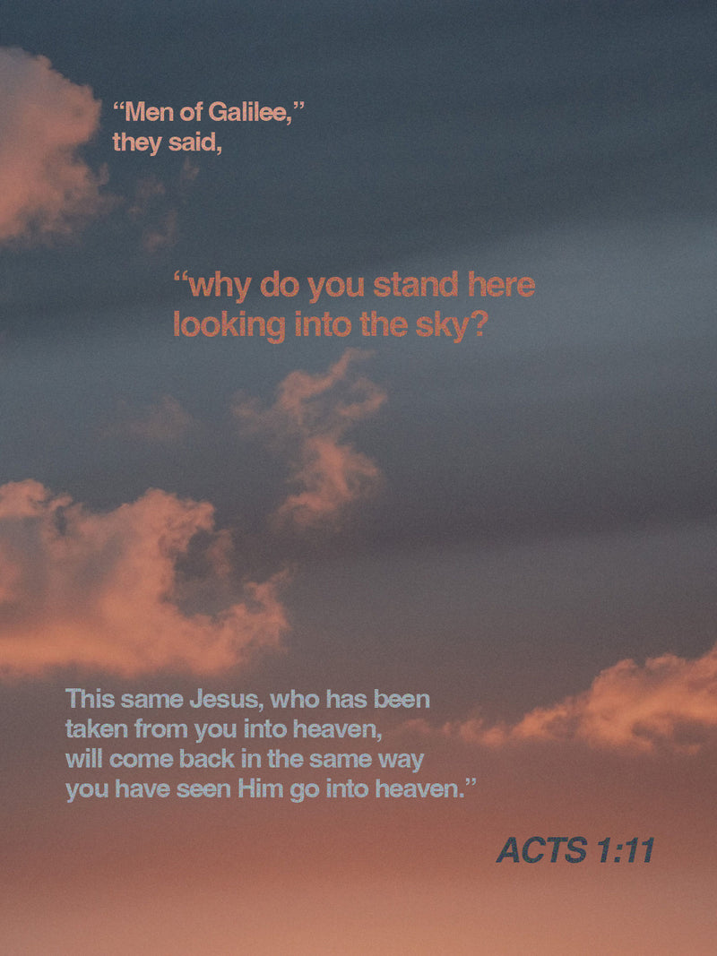 Jesus Is Coming Back Heavyweight Tee