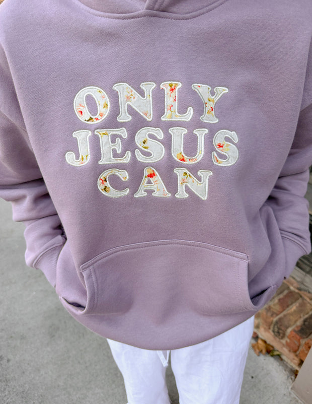 Only Jesus Unisex Hoodie Christian Sweatshirt