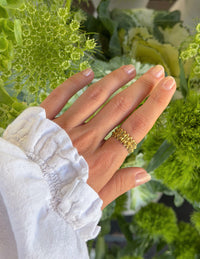 Shield of Faith Ring Christian Jewelry